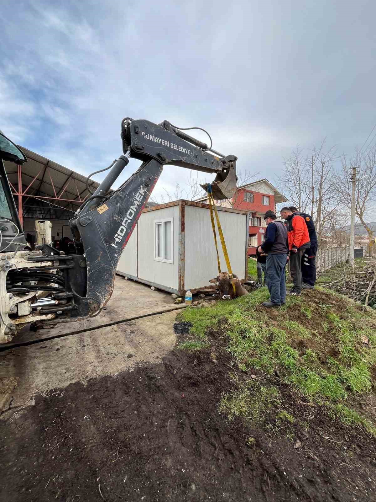 Kuyuya düşen ineği itfaiye kurtardı