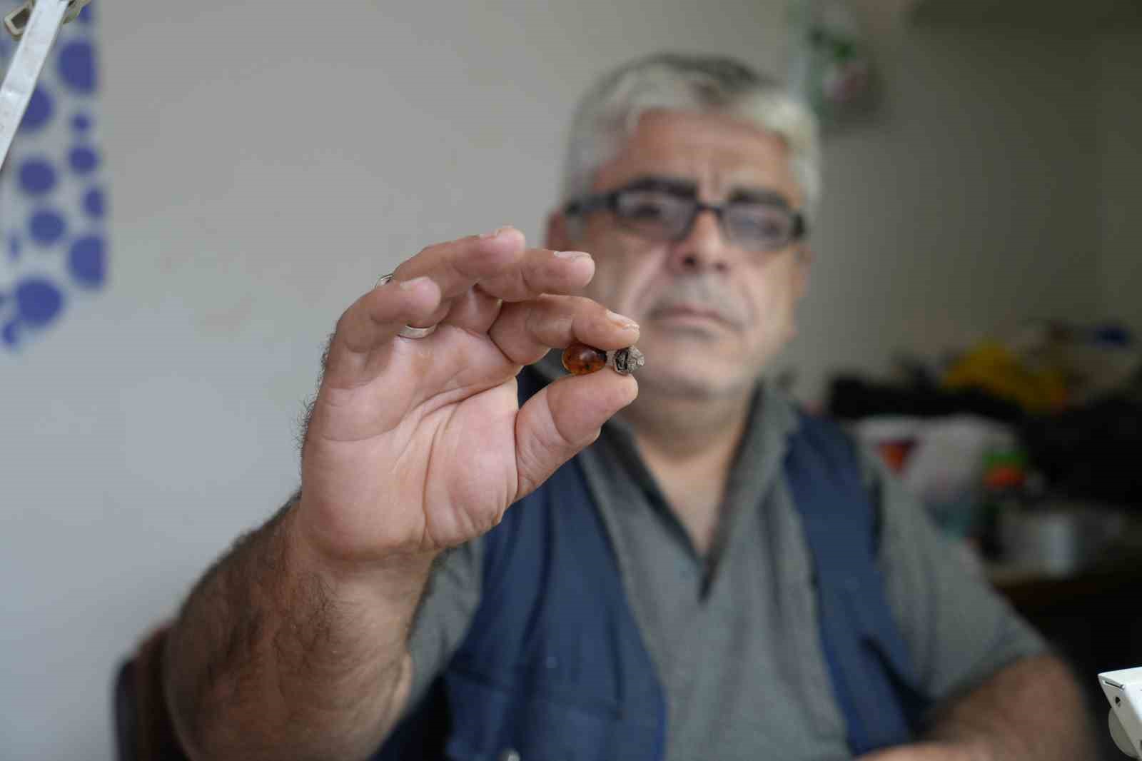 Bayburtlu kehribar ustası işlediği taşta milyonlarca yıllık böcek fosili buldu