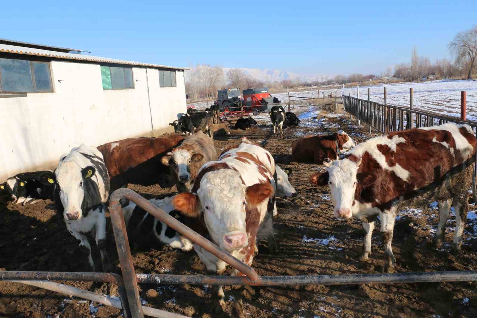 Erzincan&rsquo;da aile hayvancılık işletmeleri ziyaret edildi
