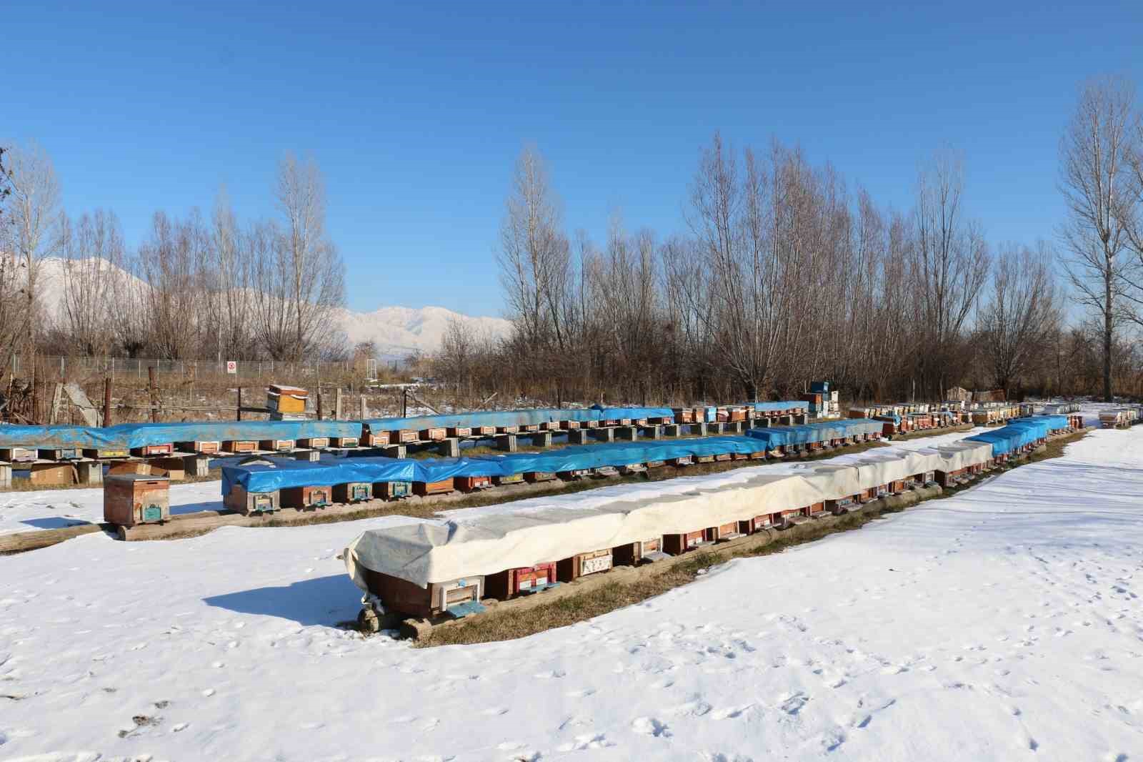 Erzincan&rsquo;da arıcılığa destek s&uuml;r&uuml;yor
