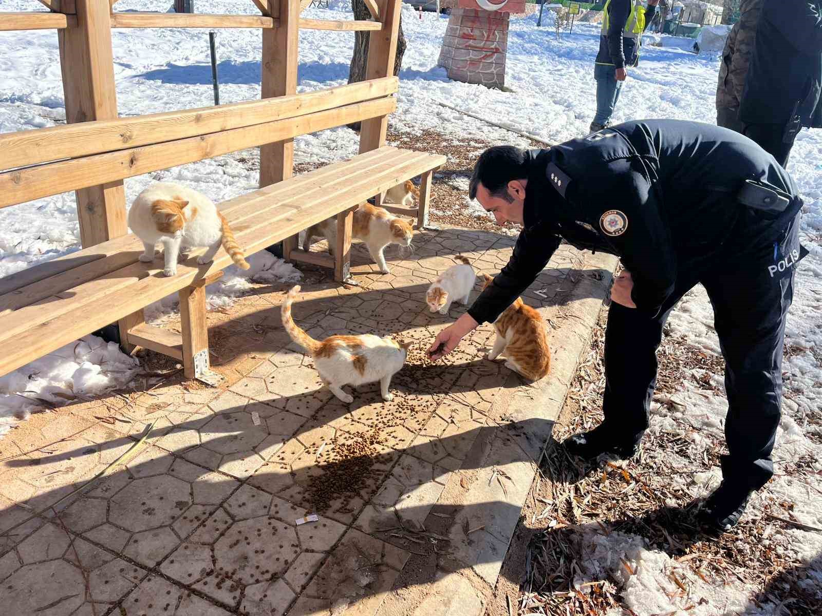 Gölbaşı ilçesinde polisler sokak hayvanları için mama bıraktı