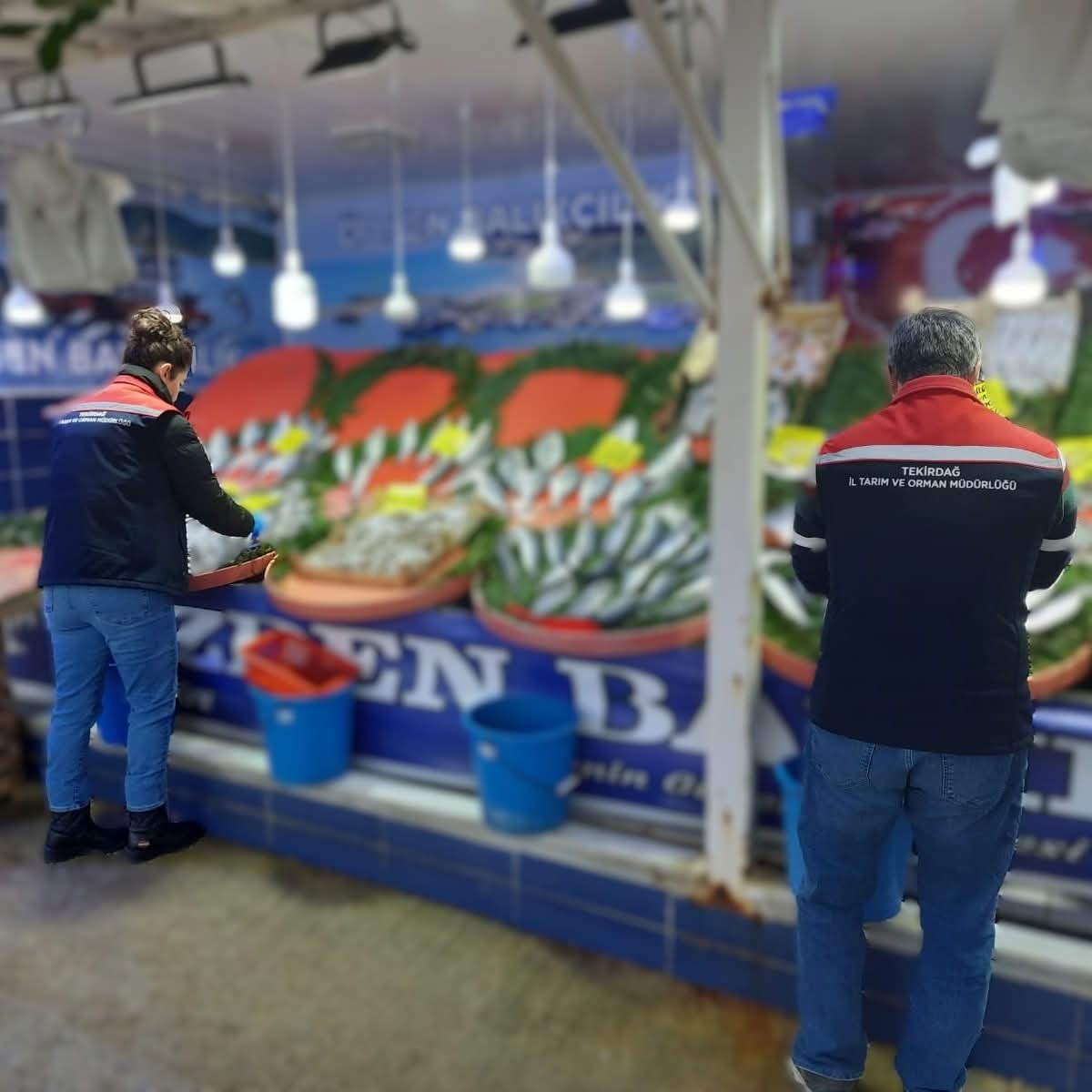 Tekirdağ’da su ürünlerine sıkı denetim