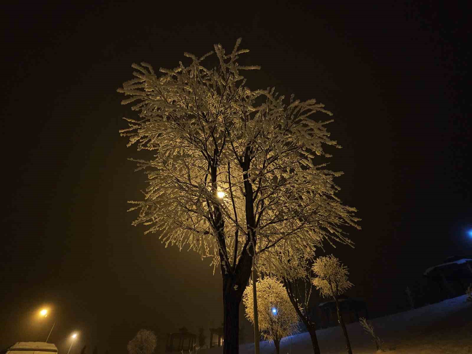 Elazığ’da ağaçlar kırağı tuttu