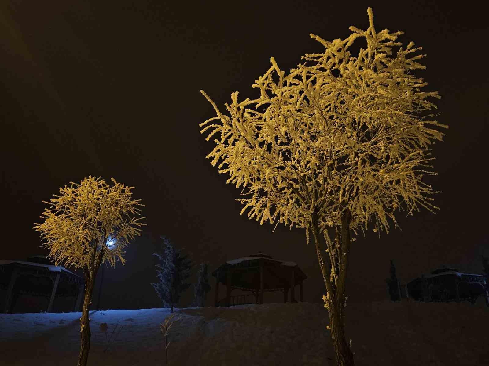 Elazığ&rsquo;da ağa&ccedil;lar kırağı tuttu
