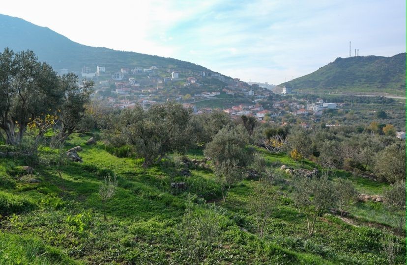 Menemen Belediyesinden tarıma can suyu
