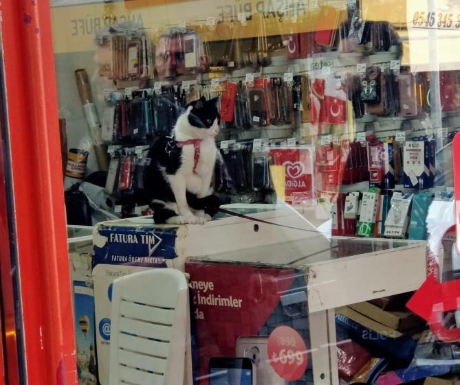 Hayatından endişe edildi, cezaevinde olduğu ortaya &ccedil;ıktı
