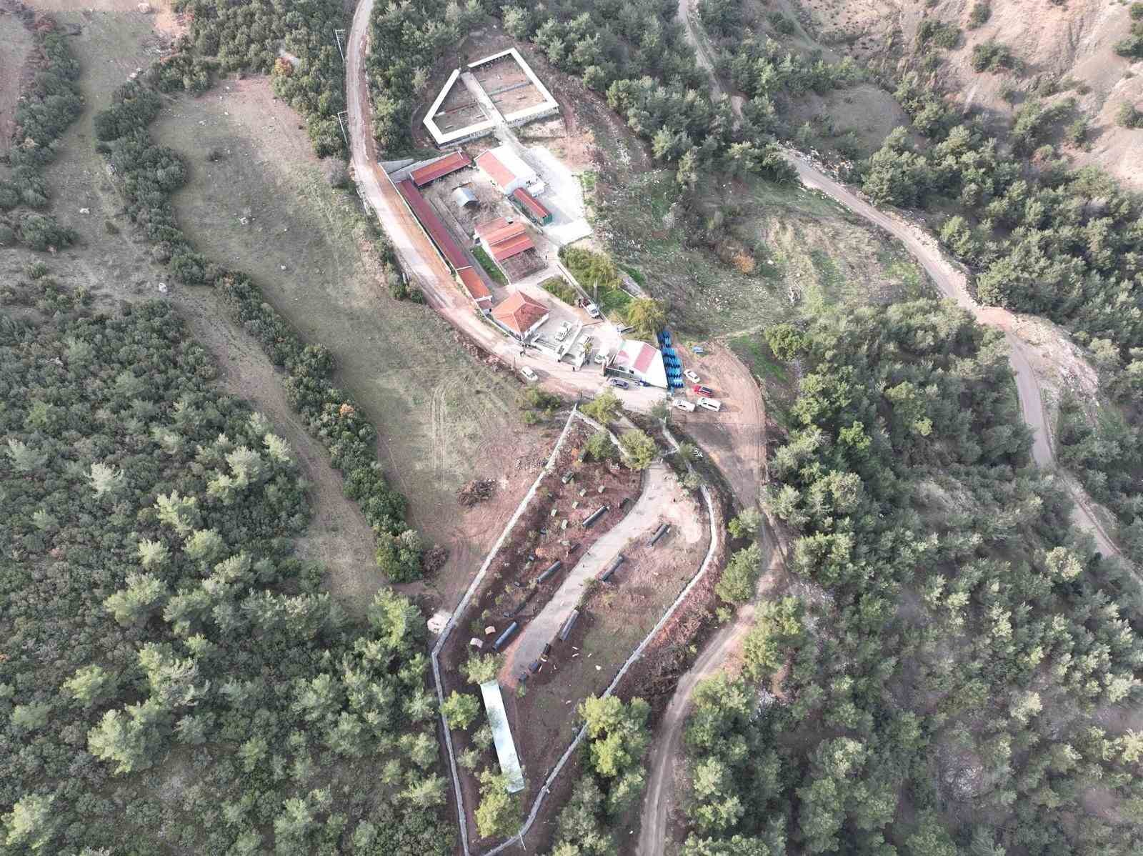 Bilecik’te can dostlar emin ellerde