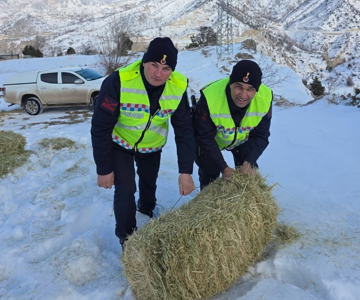 Yabani hayvanlar i&ccedil;in doğaya yem bırakıldı
