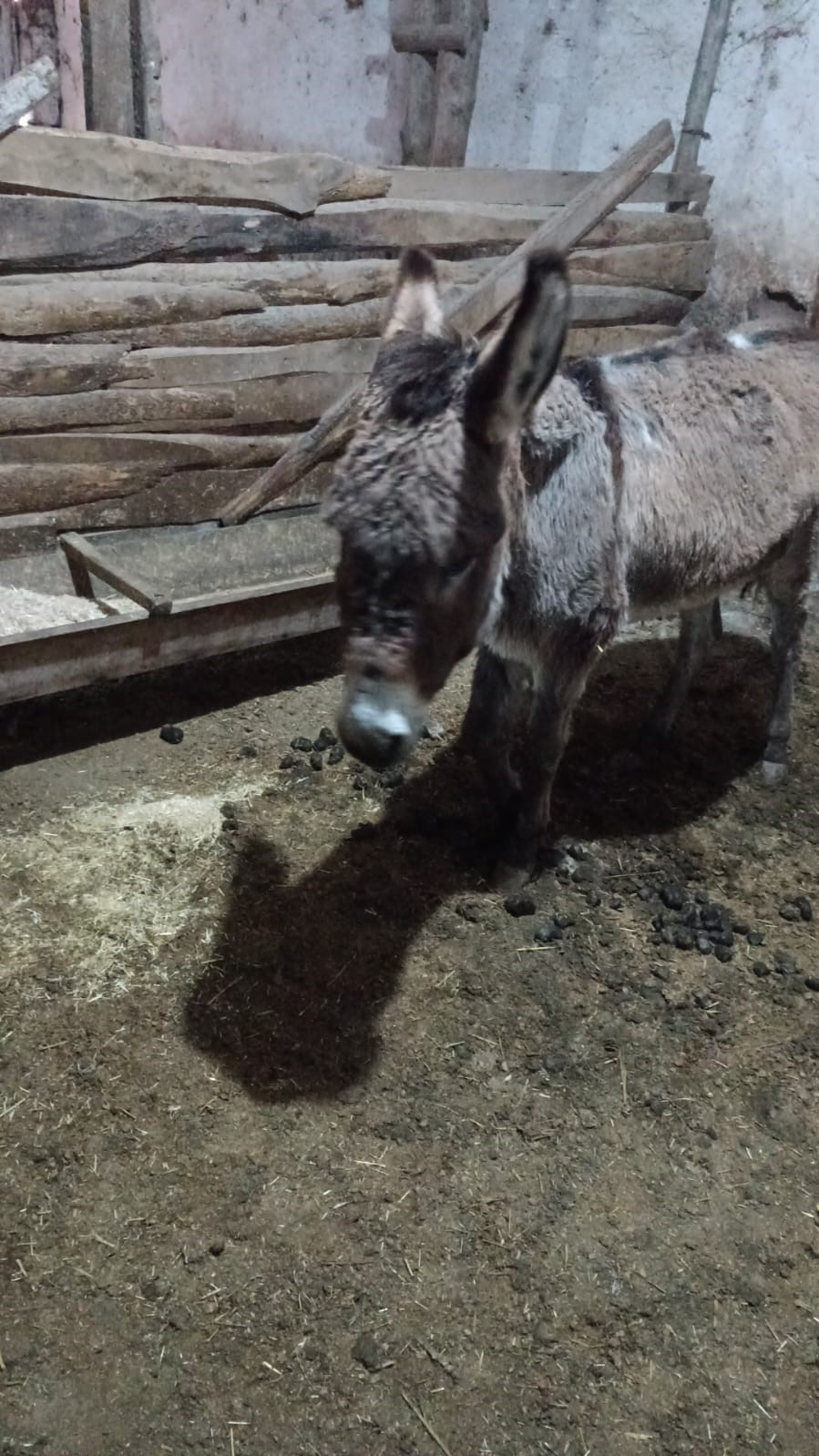 Kırşehirli köylüden vicdanlara dokunan hareket