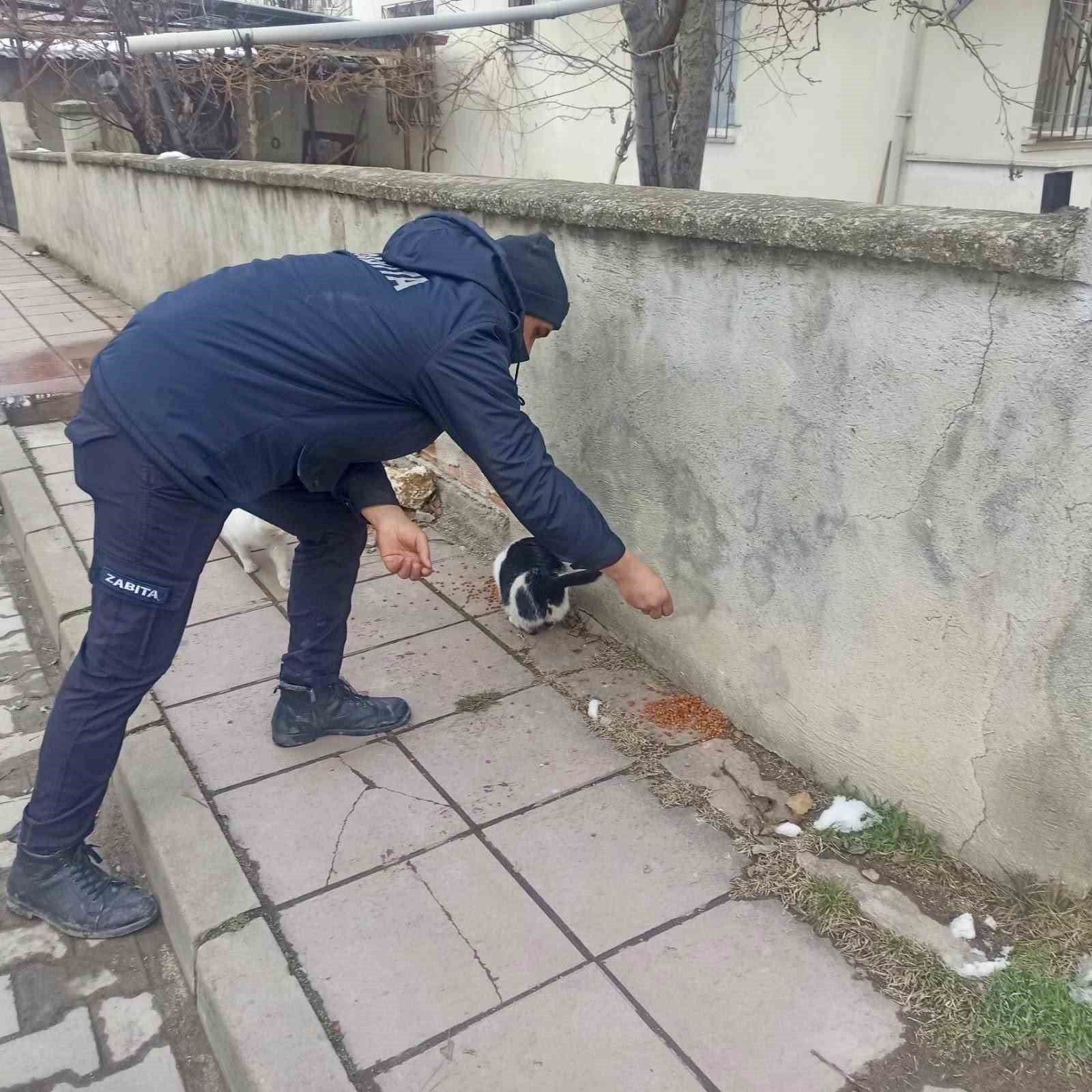 Taşk&ouml;pr&uuml; Belediyesi sokak hayvanlarını unutmuyor
