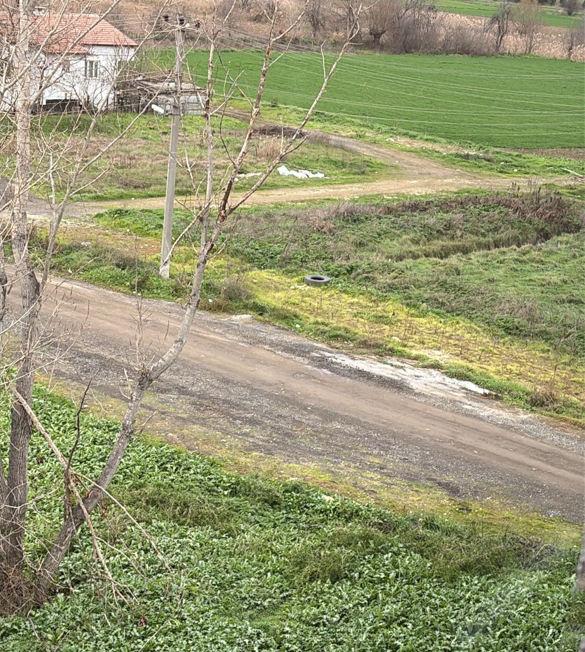Beton mikseri boş araziye atık döktü iddiası