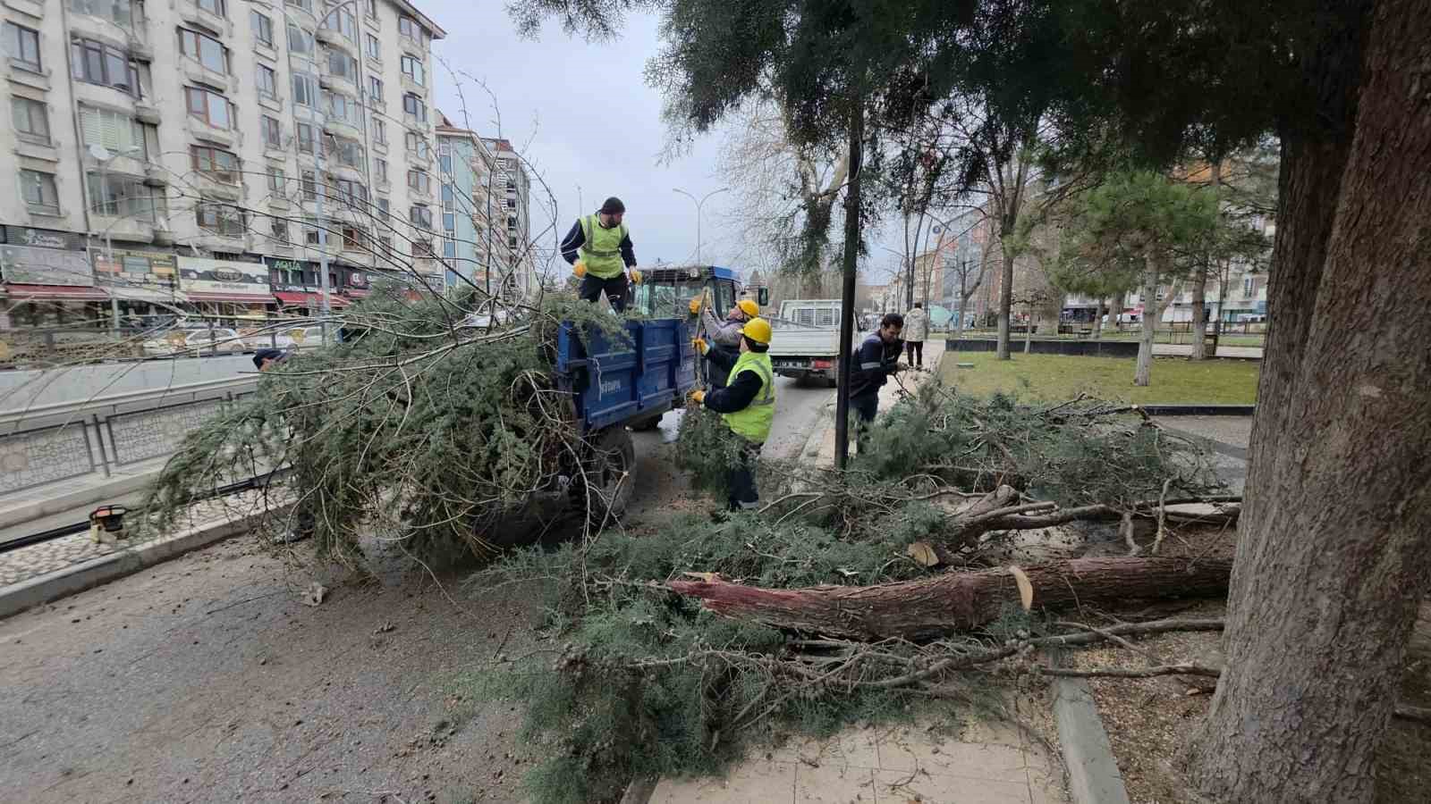 Kütahya’da fırtına ve aşırı rüzgâr ağaçları devirdi