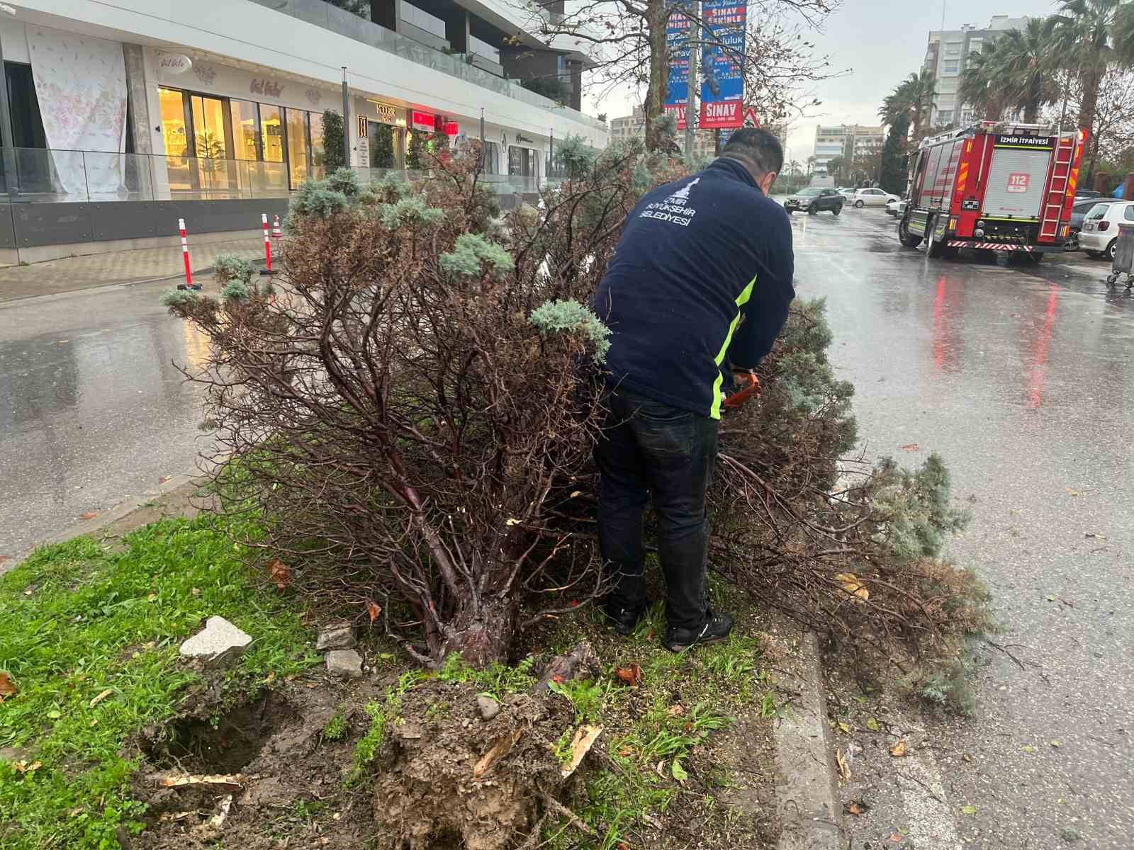 İzmir&rsquo;de fırtına ağa&ccedil;ları devirdi: 5 ara&ccedil; hasar g&ouml;rd&uuml;
