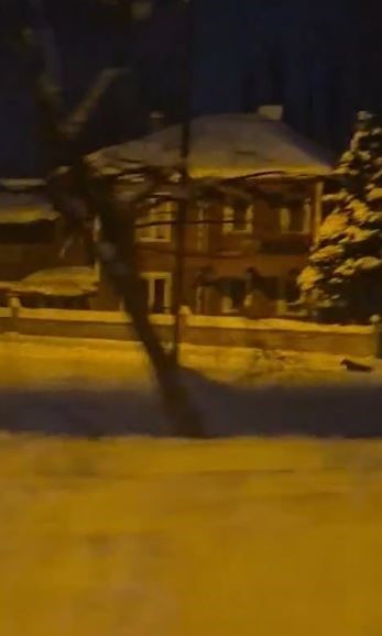 Sivas&rsquo;ta kurtlar tedirgin etmeye başladı
