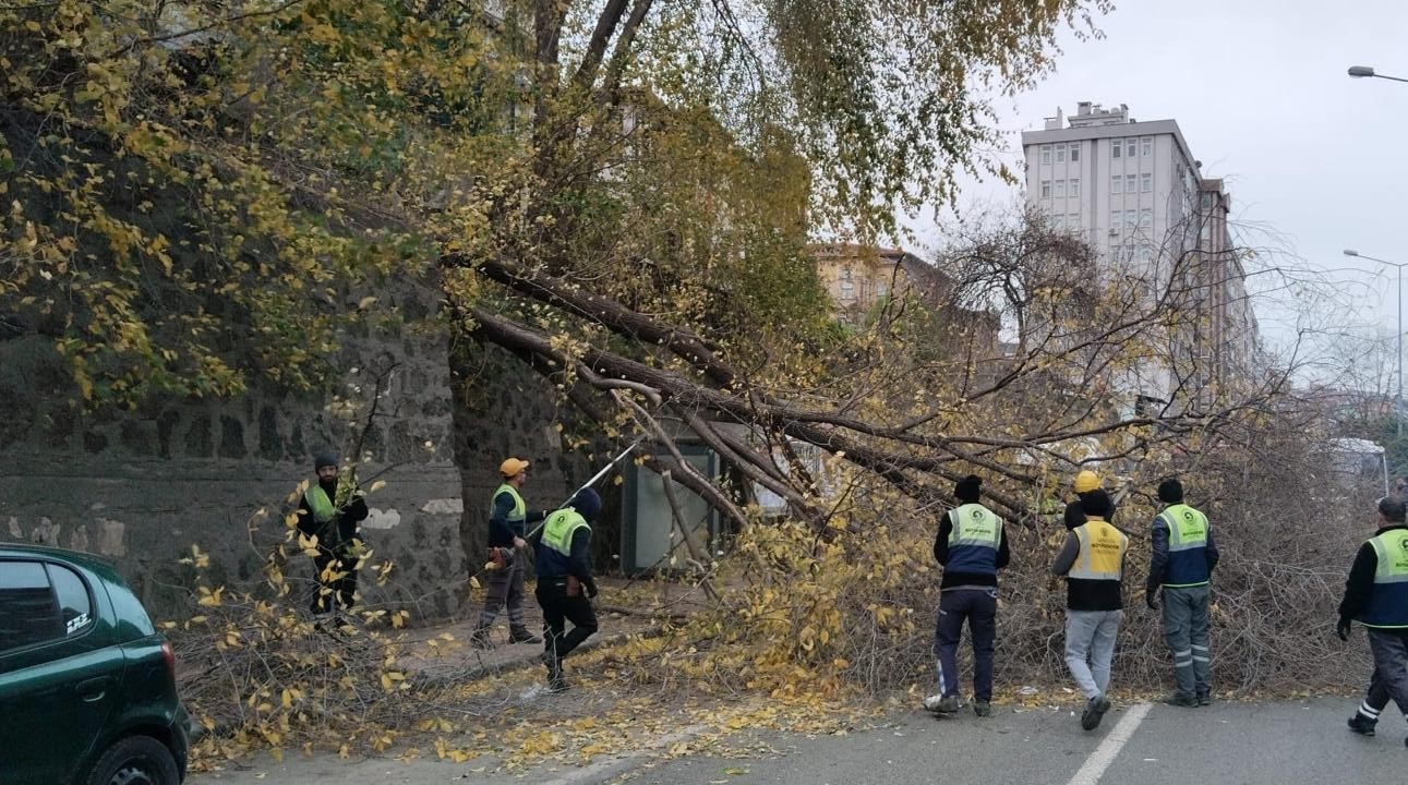 Samsun’da şiddetli rüzgar ağaçları devirdi
