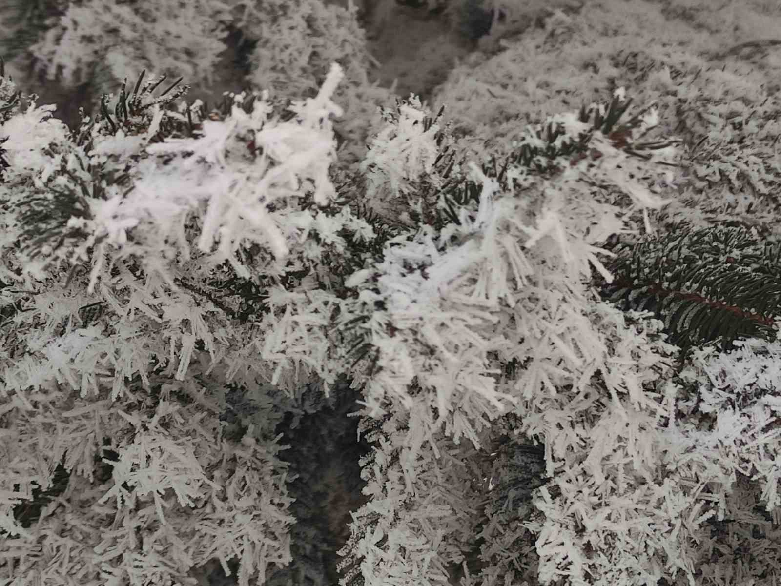 Sibirya soğukları hayatı olumsuz etkiliyor
