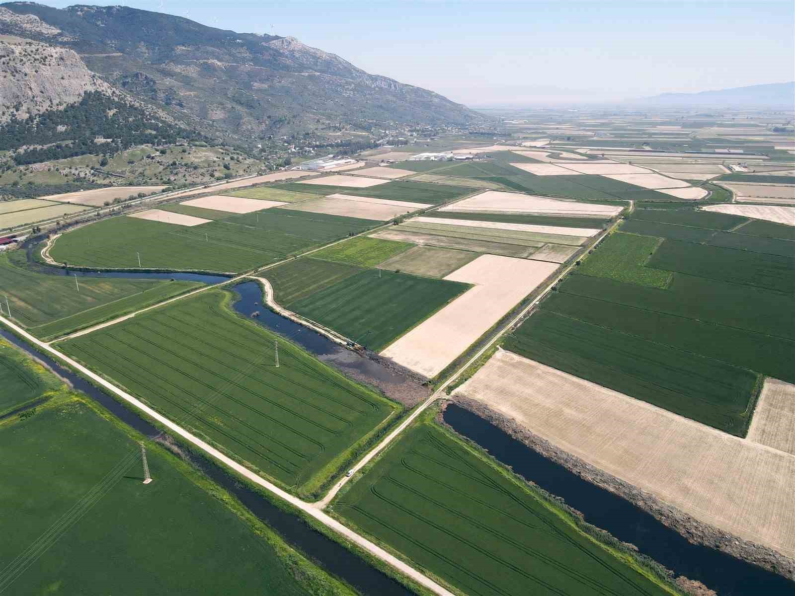 S&ouml;ke&rsquo;nin 2026 yılı &uuml;r&uuml;n deseni belli oldu
