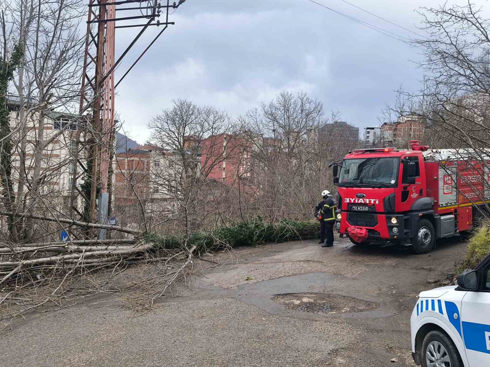 Ordu&rsquo;da fırtına nedeniyle &ccedil;atı u&ccedil;tu, ağa&ccedil; devrildi
