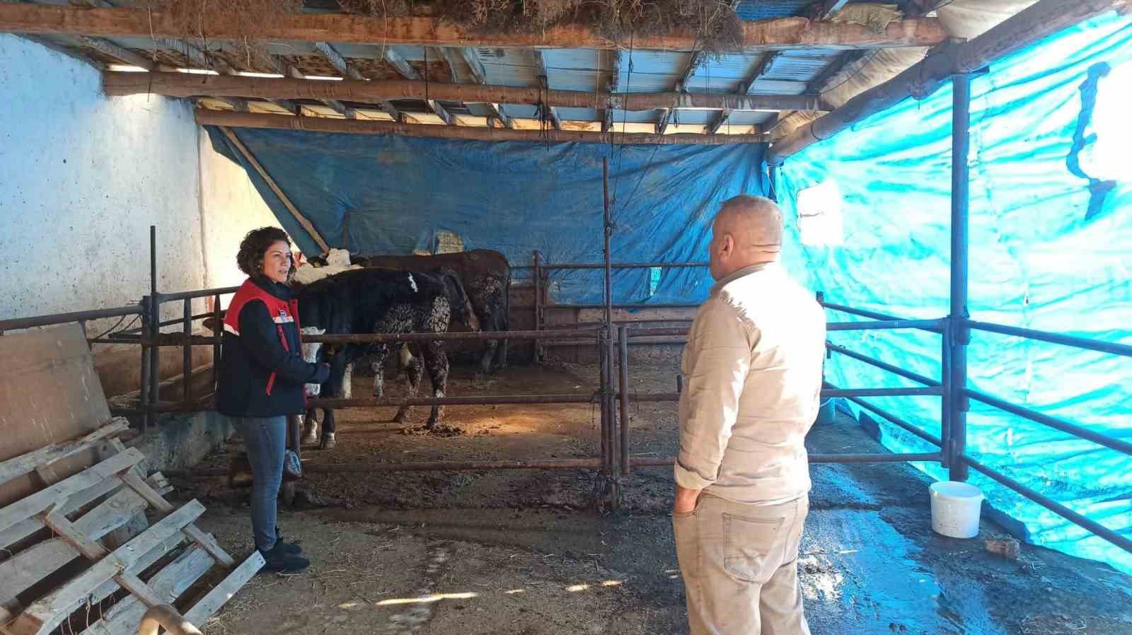 ÇMVA çalışmaları devam ediyor