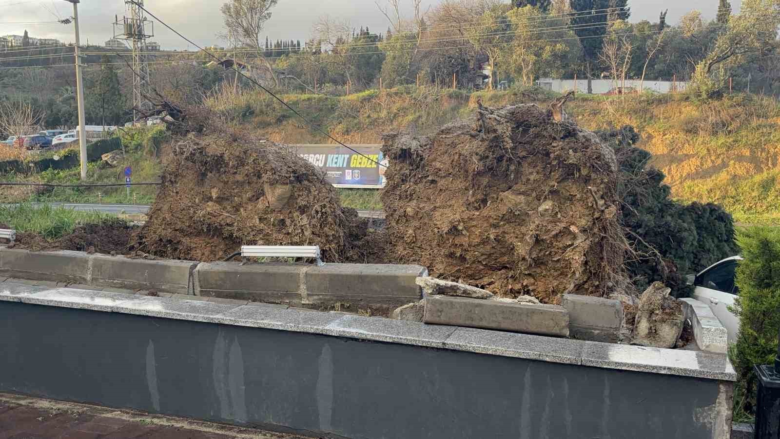 Gebze’de fırtınada iki otomobilin üzerine ağaç devrildi