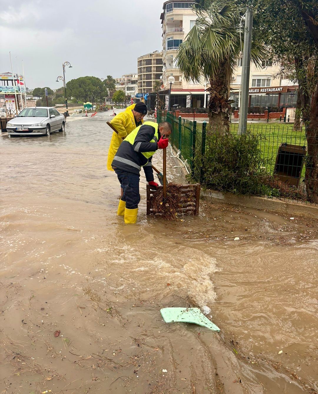 Didim Belediyesi sahada &ccedil;alışmalarını s&uuml;rd&uuml;r&uuml;yor

