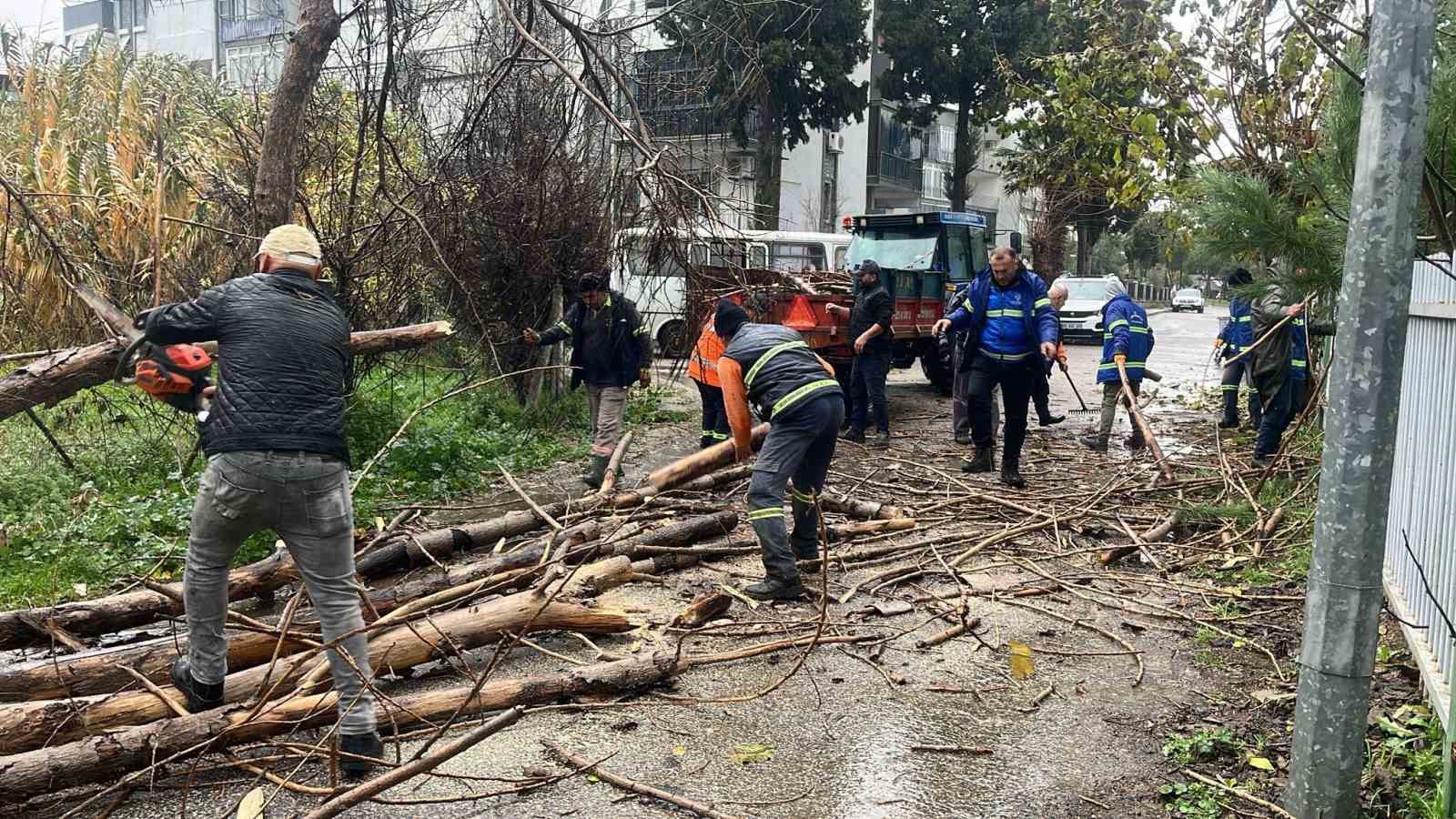 Nazilli Belediyesi’nden devrilen ağaçlara hızlı müdahale