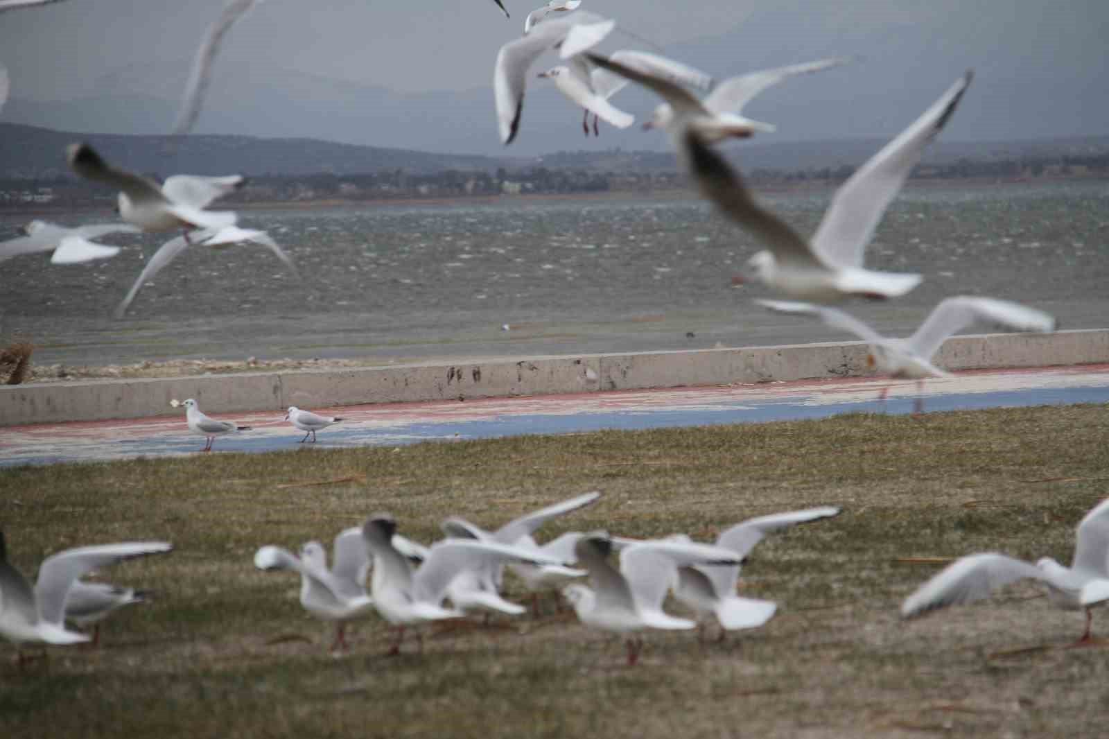 Beyşehir şiddetli fırtınaya teslim oldu
