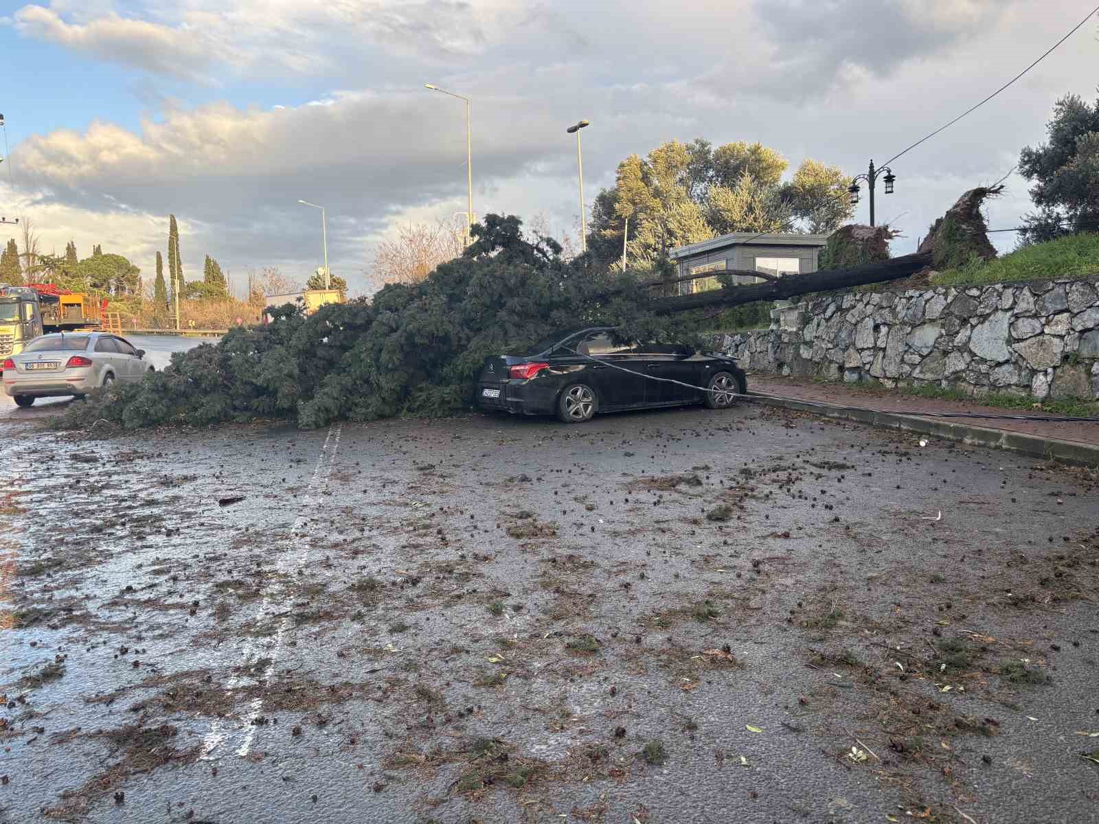 Gebze’de fırtınada iki otomobilin üzerine ağaç devrildi