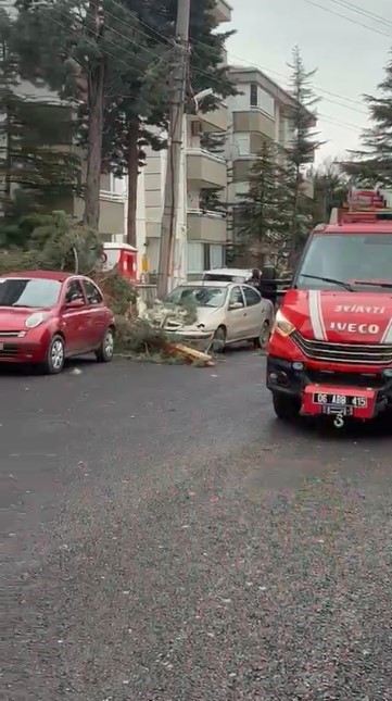 Beypazarı’nda fırtına ağaçları devirdi
