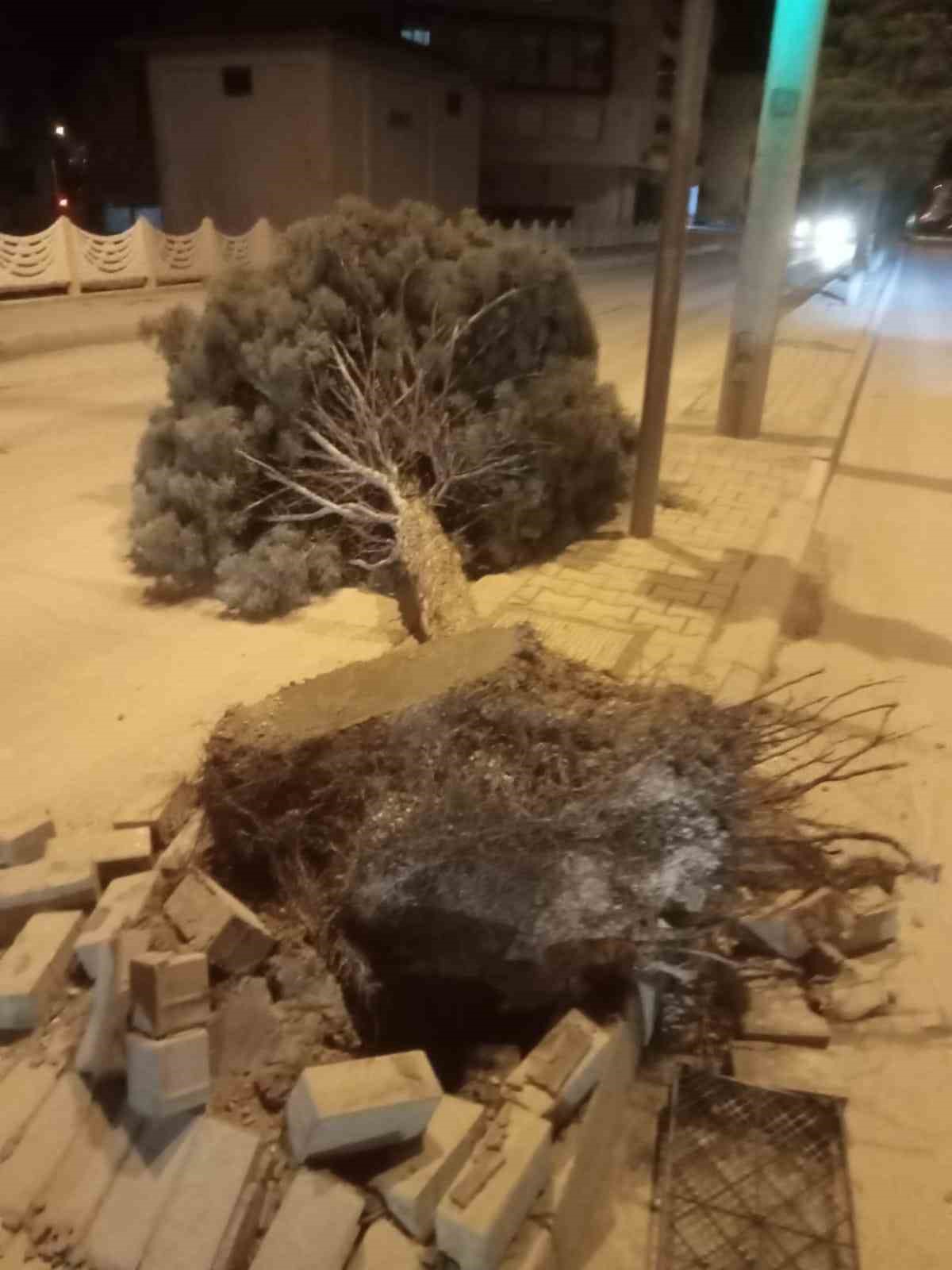 Ereğli’de şiddetli rüzgar ağaçları devirdi, çatıları uçurdu