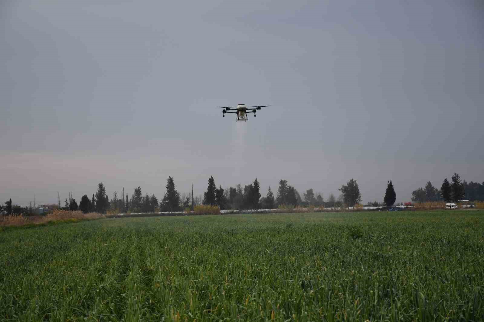 Mersin’de dronla gübreleme ve ilaçlama çiftçinin zayiatını sıfıra indirdi, zamandan tasarruf sağladı