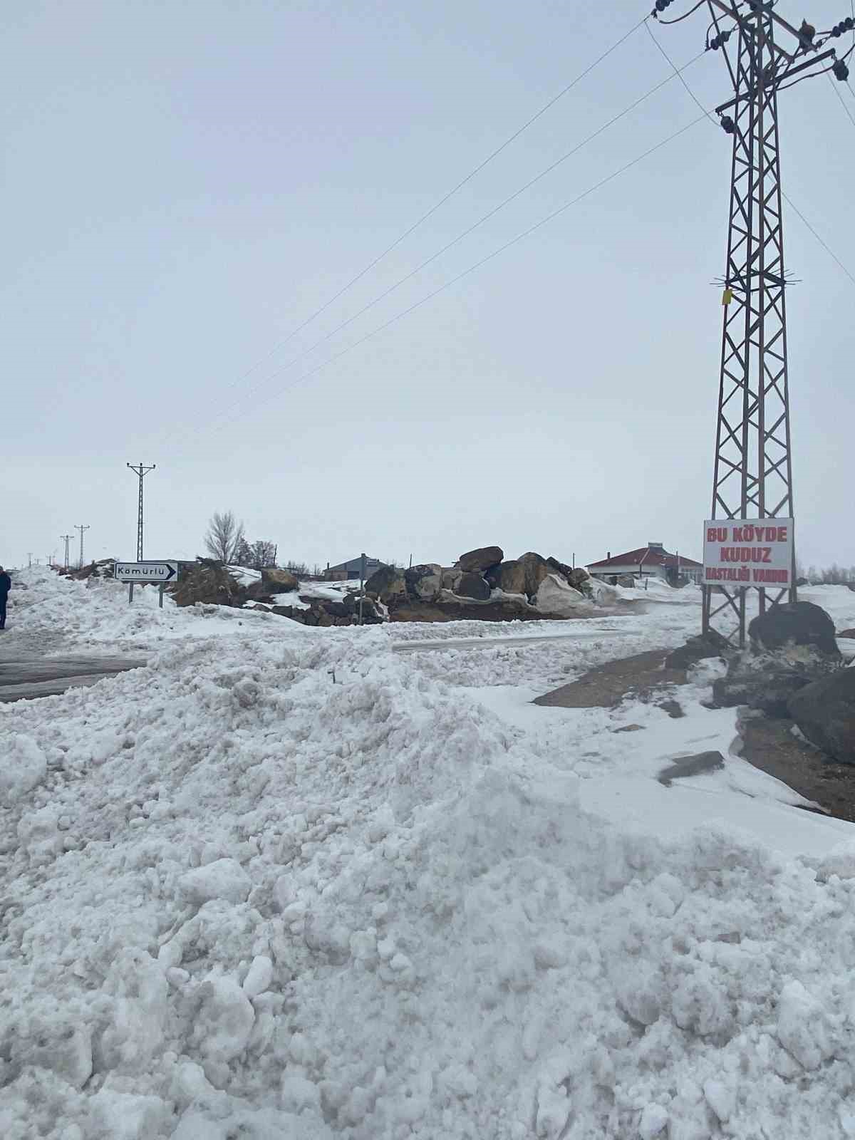 Adilcevaz&rsquo;da kuduz alarmı: Bir k&ouml;y karantinaya alındı
