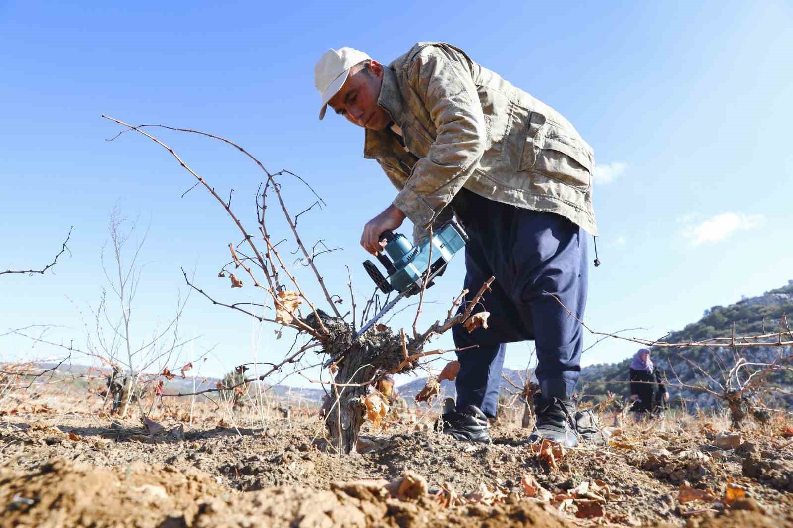 Mersin’de organik tarım desteğiyle üretim doğallaşıyor