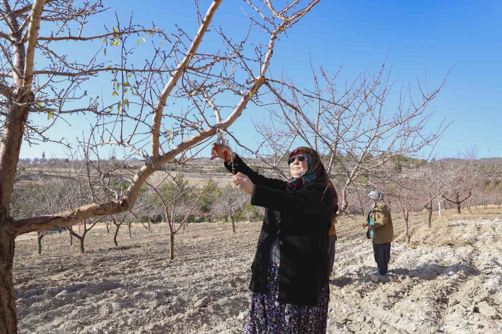 Mersin’de organik tarım desteğiyle üretim doğallaşıyor