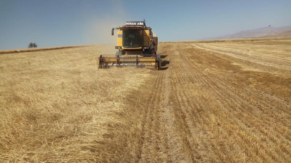 Bayburt’ta besici ve yetiştiricilere yemlik arpa satışı yapılacak