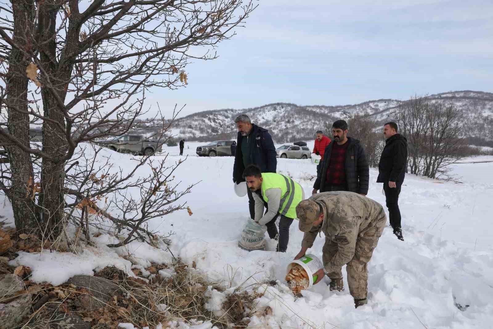 Gen&ccedil;&rsquo;te yaban hayvanları i&ccedil;in doğaya yem bırakıldı
