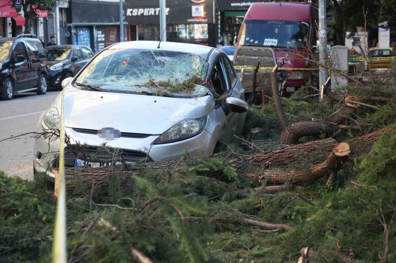 Samsun’da fırtına park halindeki otomobile zarar verdi, çatıları uçurdu