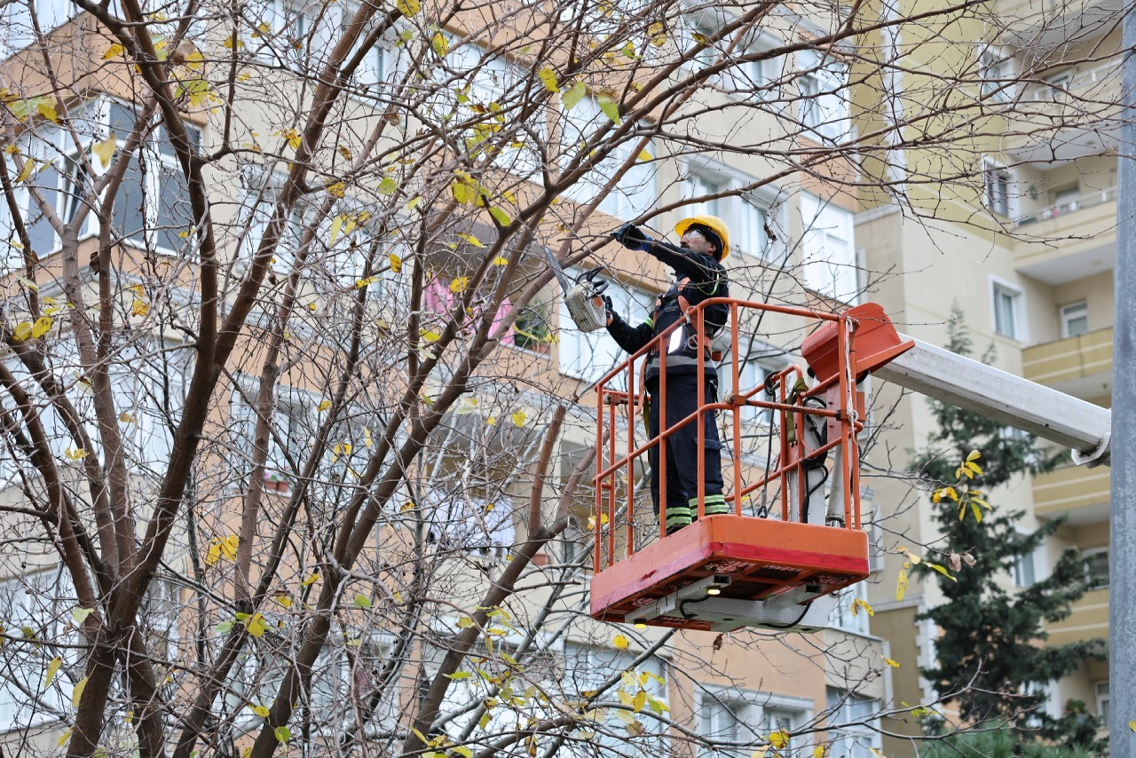 K&uuml;&ccedil;&uuml;k&ccedil;ekmece&rsquo;de budanan ağa&ccedil;lar, ihtiya&ccedil; sahiplerine yakacak oluyor
