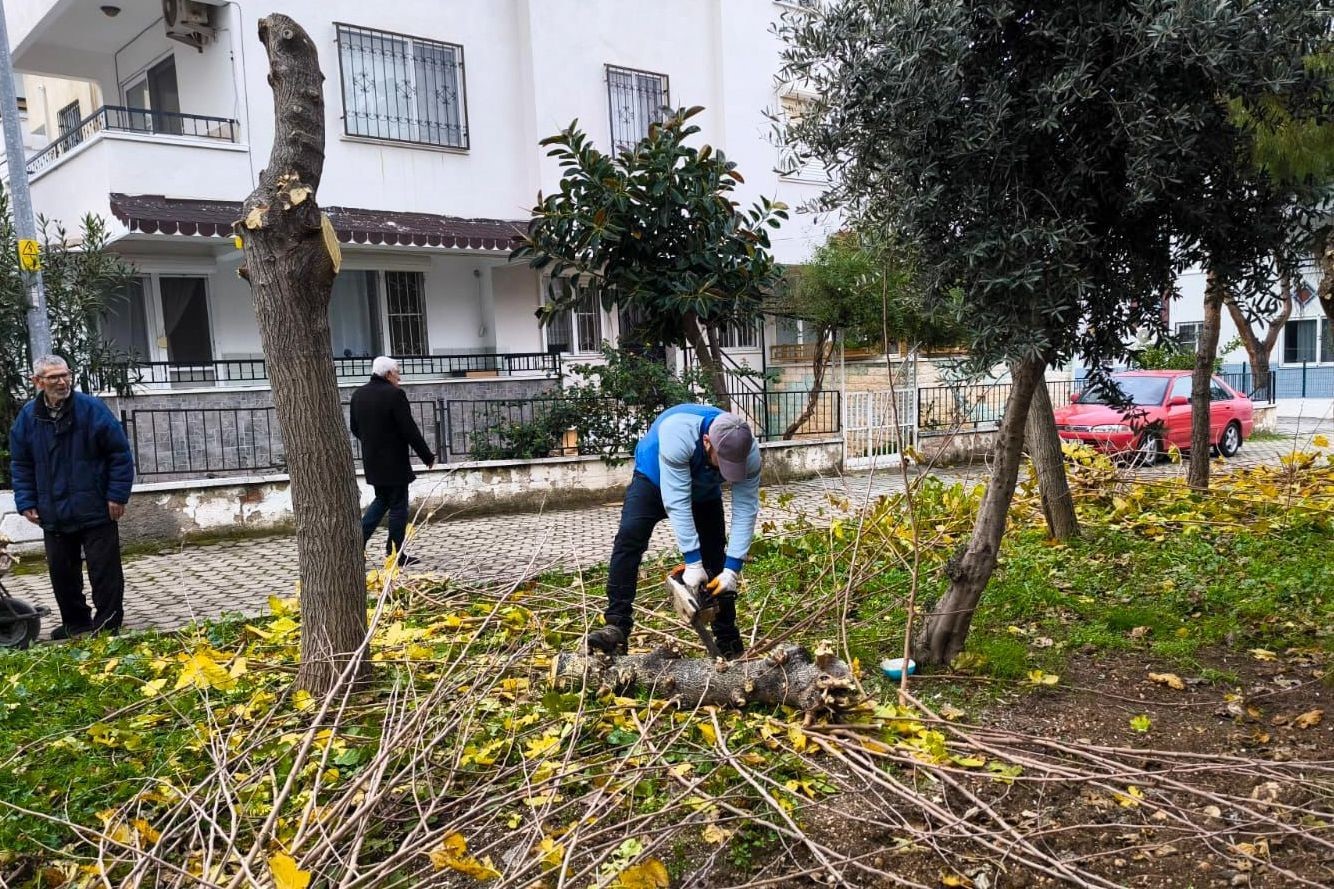 Didim Belediyesi il&ccedil;e genelinde &ccedil;alışmalarını s&uuml;rd&uuml;r&uuml;yor
