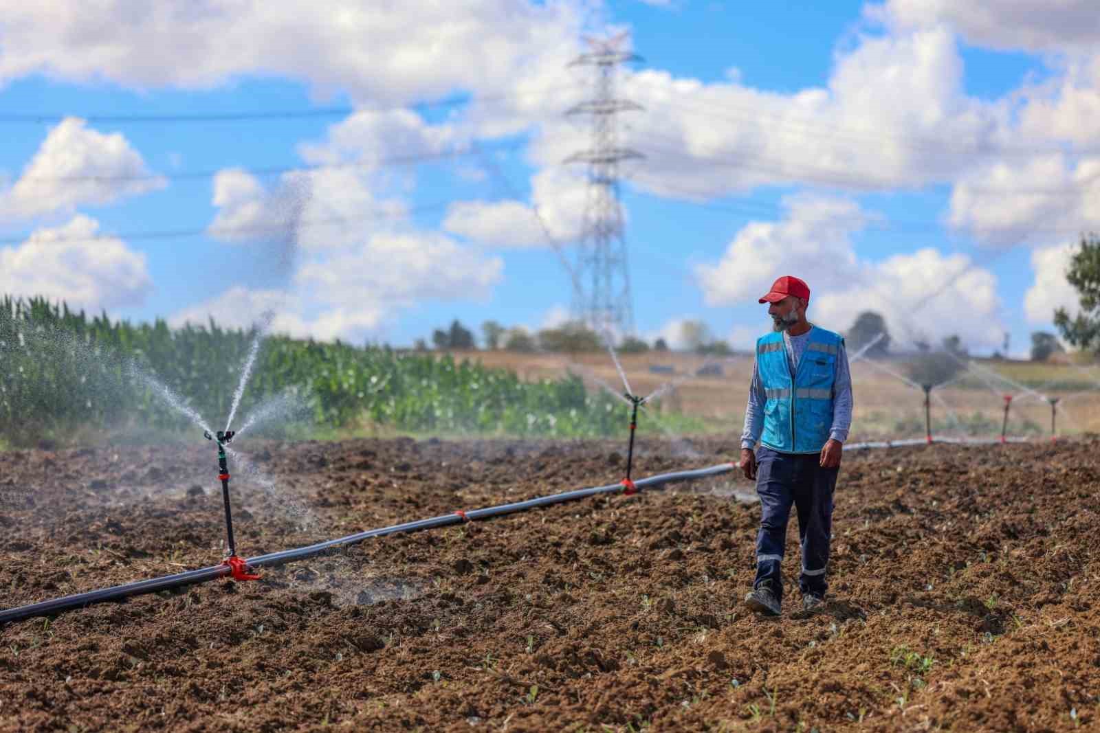 2025’te toprağa bereket yağdı: Çiftçilere 166 milyon TL’lik destek