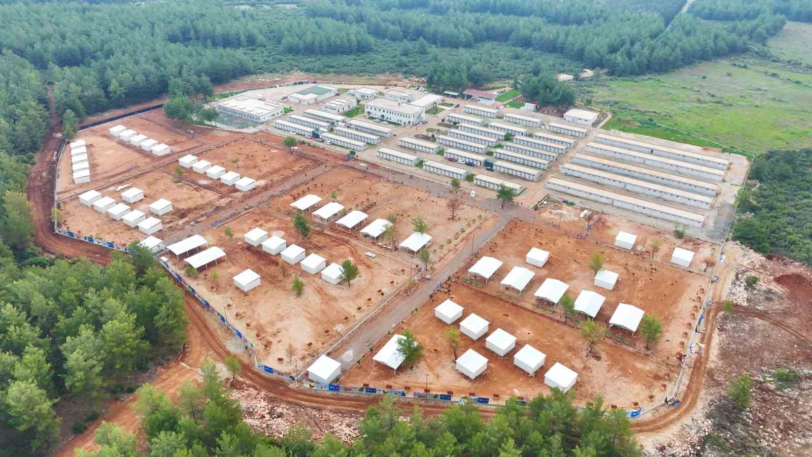 Büyükşehir sokak köpekleri için doğal yaşam alanı kapasitesini arttırdı