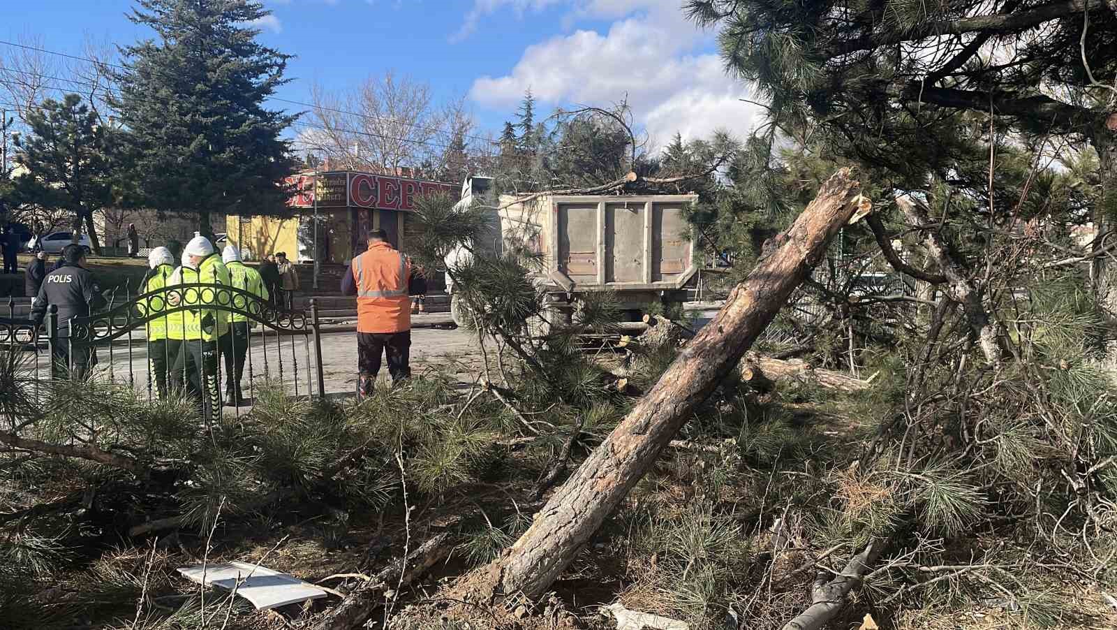 G&ouml;renleri pes dedirten kazada tır ağa&ccedil;ları ezip karşı şeritte durabildi
