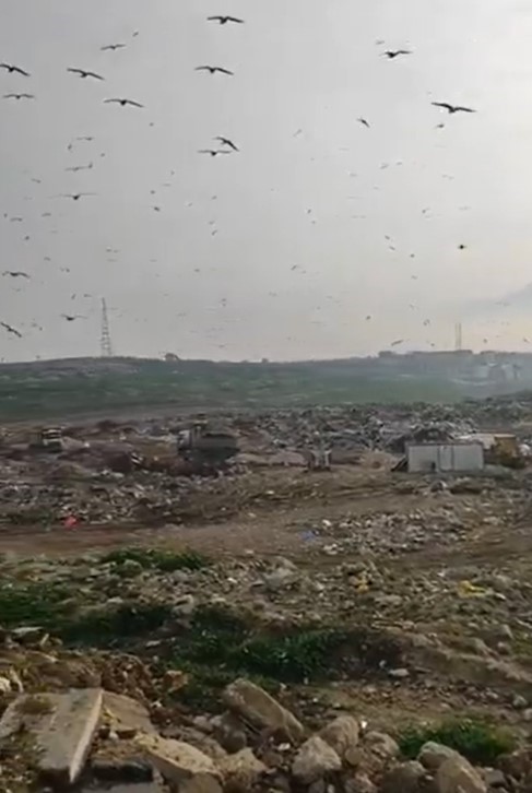 Katı Atık Tesisinde vahşi depolama yapan Bursa Büyükşehir Belediyesi’ne 1.8 milyon TL ceza