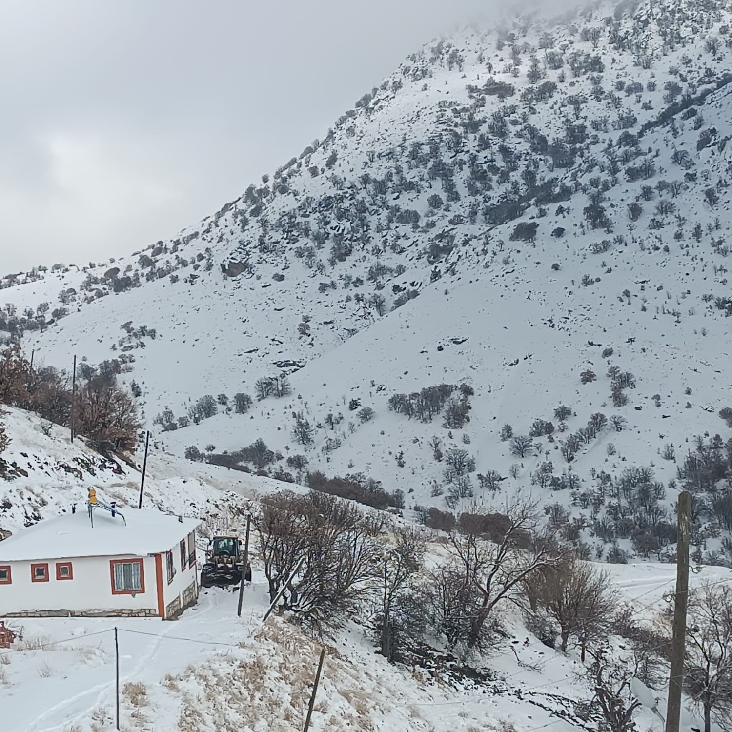 Malatya&rsquo;da kırsal kesimlerde kar etkili oluyor
