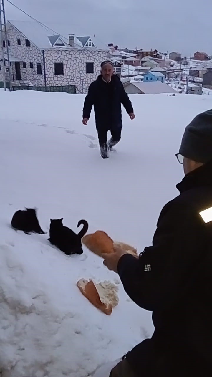 Kar altındaki yaylalarda hayvanlar i&ccedil;in seferberlik
