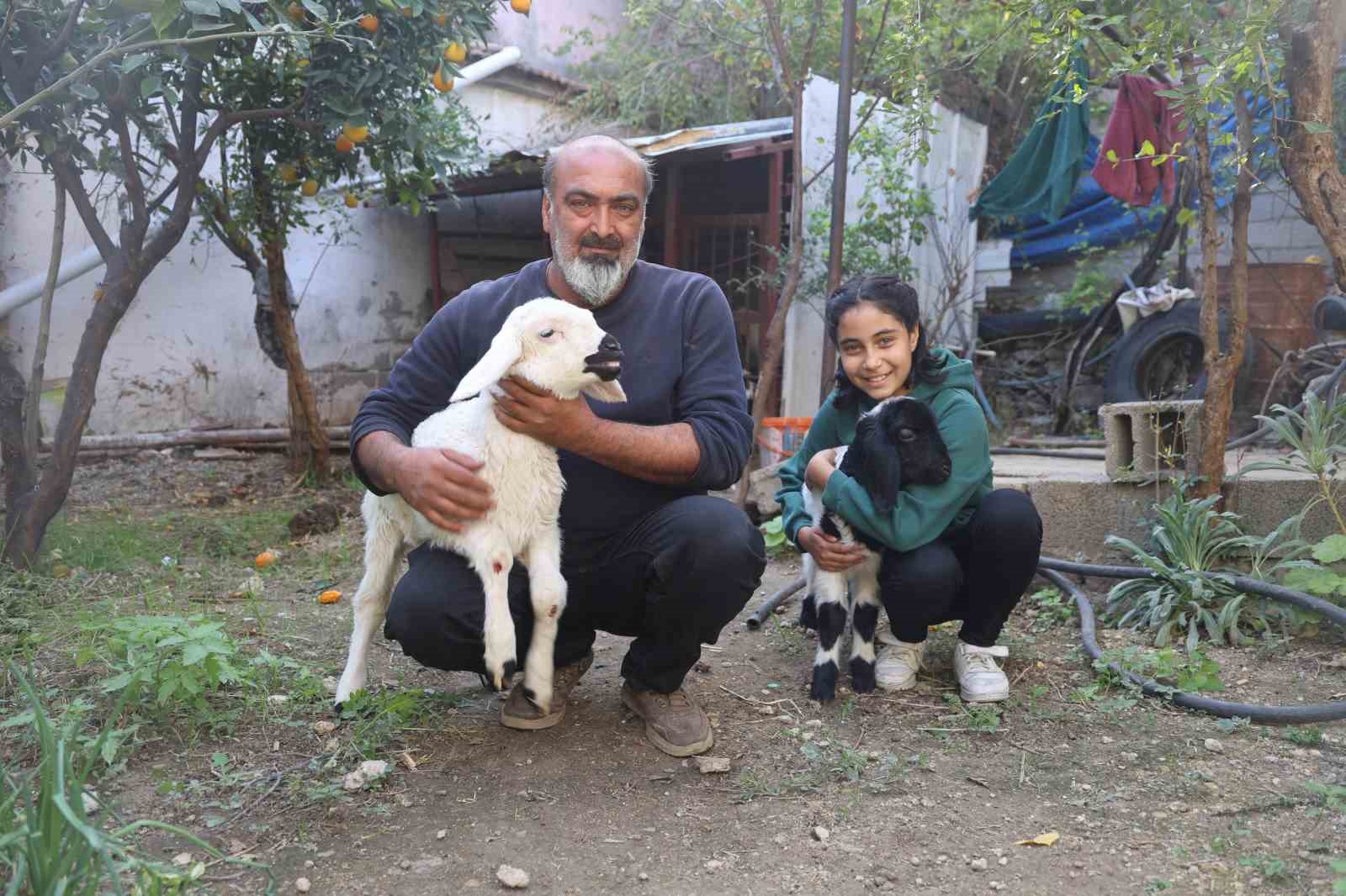 Annesi telef olan kuzuya şefkatle yaklaşan aile, Karabaş&rsquo;ı biberonla besliyor
