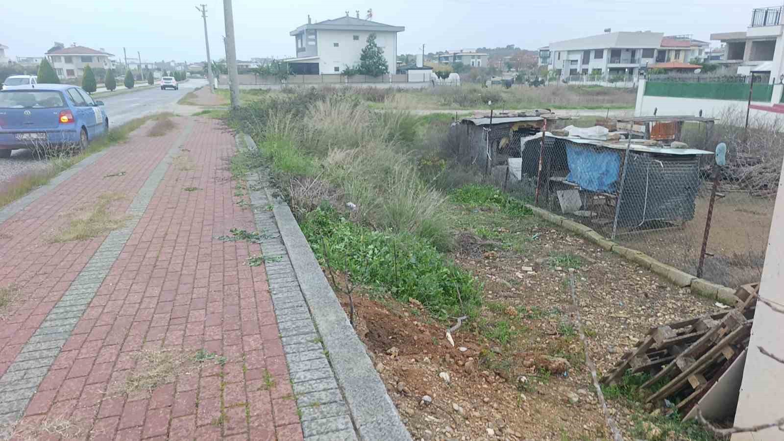 Kaza yapıp ka&ccedil;tı, para cezası kesildi
