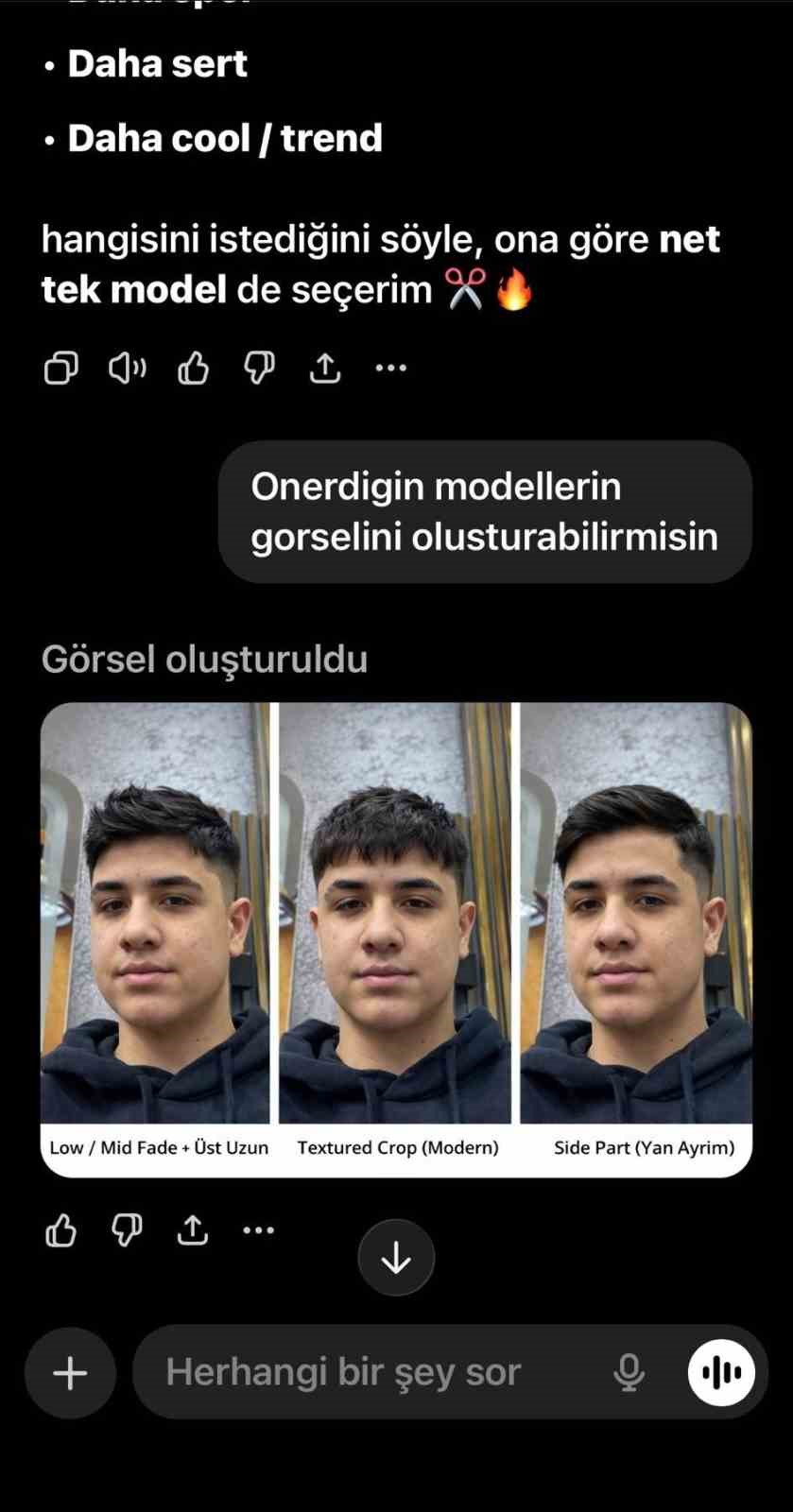 Berberlerde yapay zeka akımı
