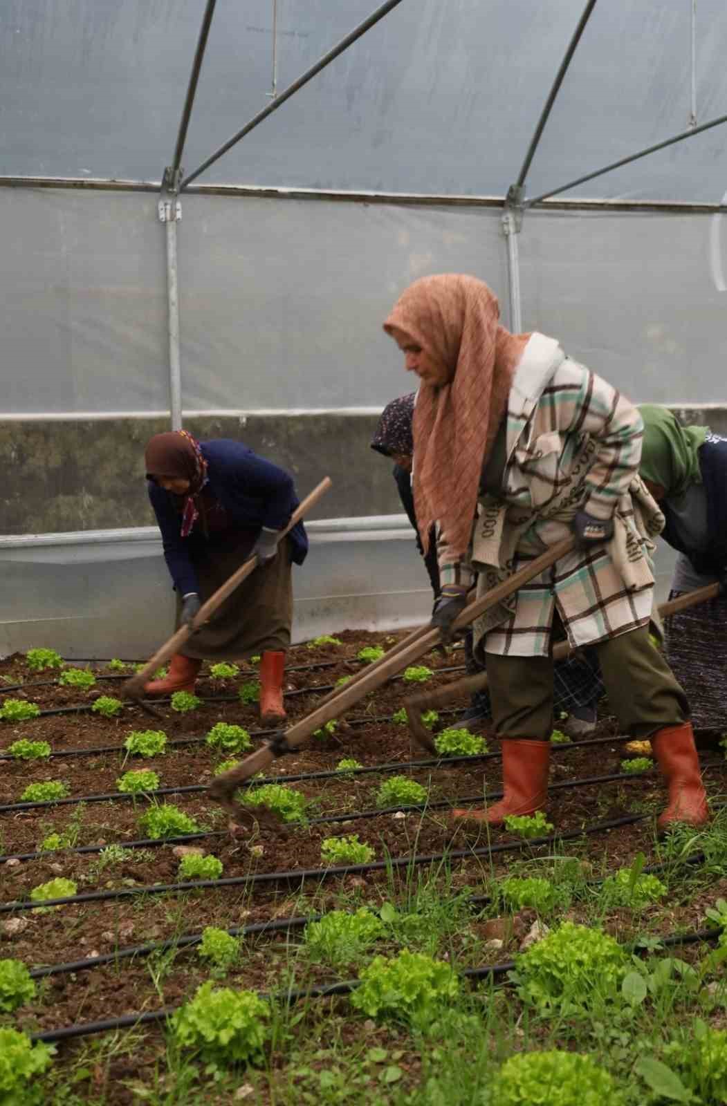 Tarım Akademisi’nde 16-55 yaş arası aday çiftçilere eğitim