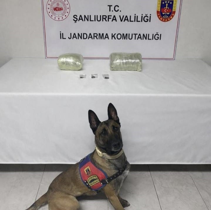 Şanlıurfa’da 2 kilo kubar esrar ele geçirildi: 1 gözaltı